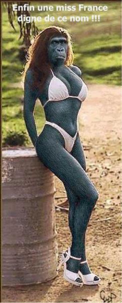 miss france