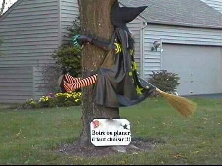 harri potter